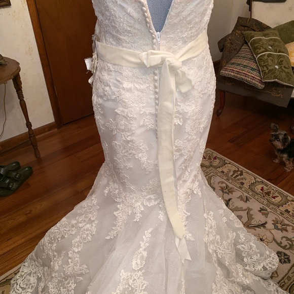 Enzoani Dakota wedding dress belt & veil included - Picture 3 of 16